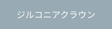 ジルコニアクラウン